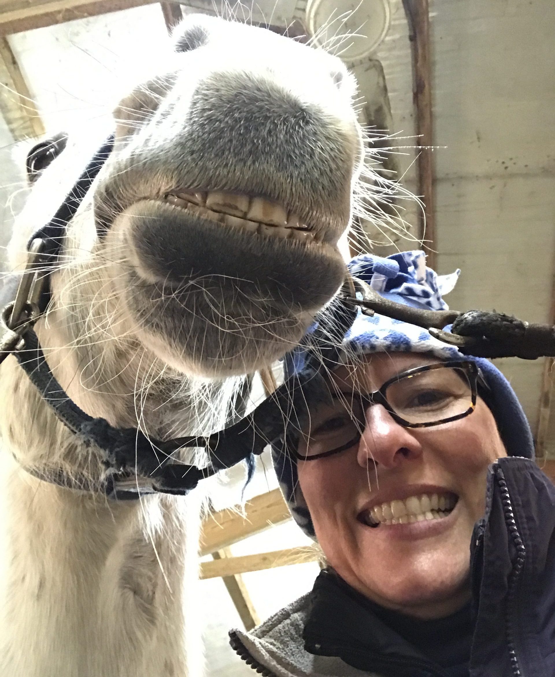 grey horse and woman smiling for the camera