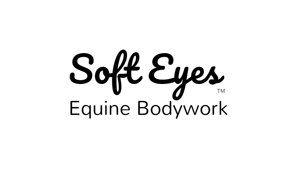 Soft Eyes Equine Bodywork
